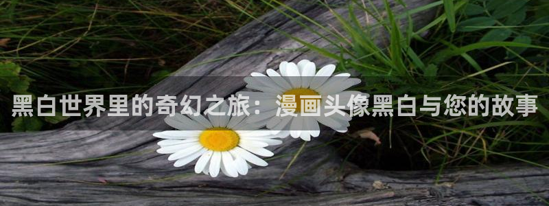 韩漫免费漫画页面在线看漫画网站大：黑白世界里的奇幻之旅：漫画头像黑白与您的故事