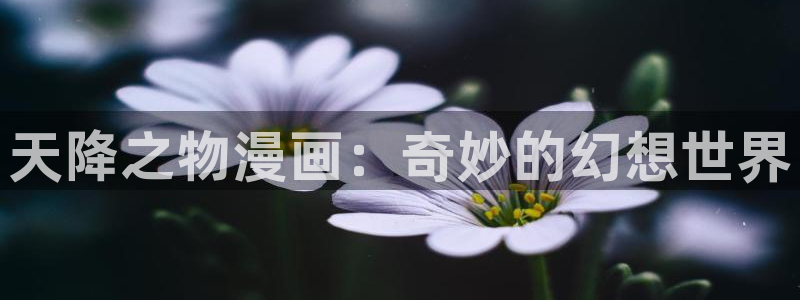 漫画韩漫免费阅读漫画在线：天降之物漫画：奇妙的幻想世界