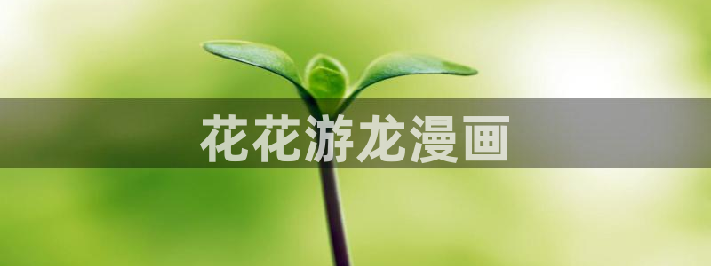 来自深渊漫画韩漫：花花游龙漫画