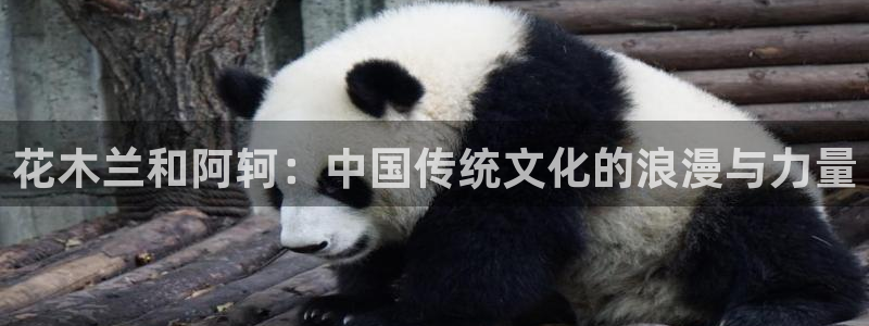 大猫漫画网大全韩漫：花木兰和阿轲：中国传统文化的浪漫与力量