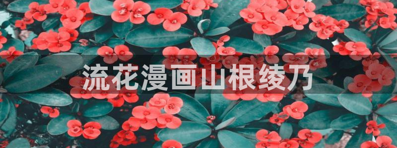 韩漫画在线看动画免费
