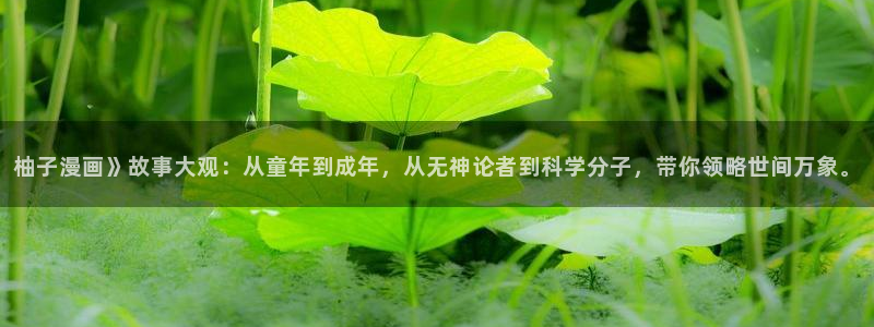 韩漫在线观看免