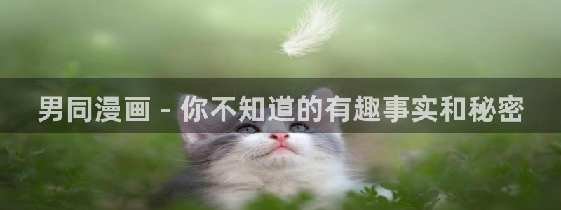 韩漫画蛇