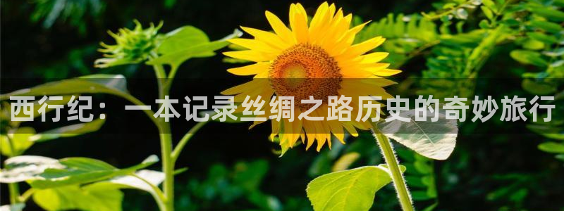 铃兰韩漫漫画免费阅读：西行纪：一本记录丝绸之路历史的奇妙旅行